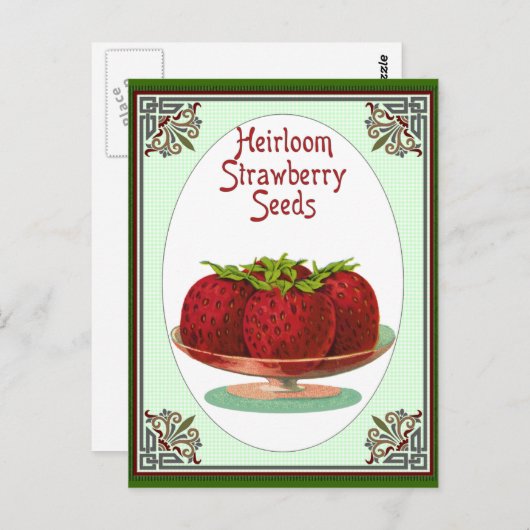 イチゴの実を入れて育てる ポストカード (正面/裏面)