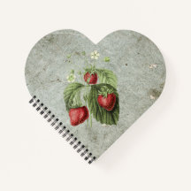 イチゴの花と果実