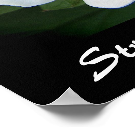 イチゴの花 ポスター (角)