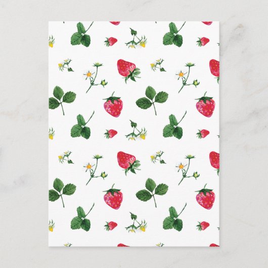 イチゴの苗 ポストカード (正面)