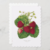 イチゴアフターンティー招待状 招待状 (正面/裏面)