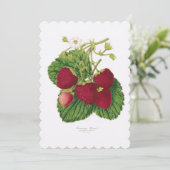 イチゴアフターンティー招待状 招待状 (スタンド正面)