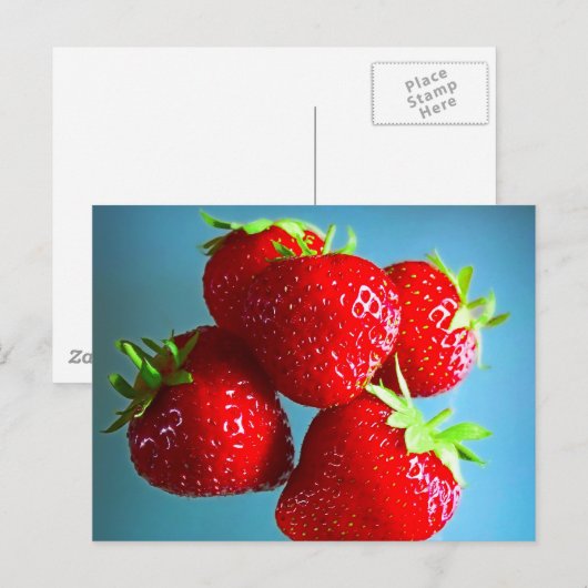 イチゴ写真 ポストカード (正面/裏面)