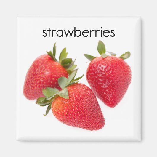 イチゴ冷凍機マグネット マグネット (正面)