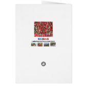 イチゴ果実挨拶状 (裏面)