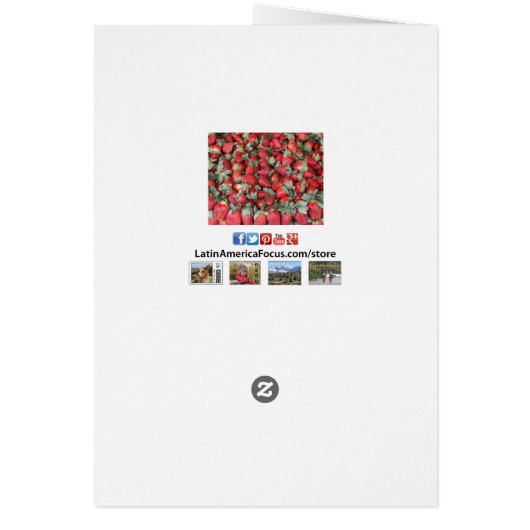 イチゴ果実挨拶状 (裏面)