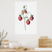 イチゴ植物性プリント ポスター (キッチン)