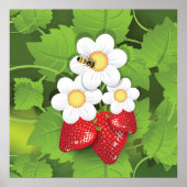 イチゴ植物 ポスター (正面)