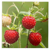 イチゴ自然ファインアートファッション タイル (正面)