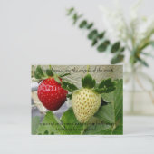 イチゴ葉書 ポストカード (スタンド正面)