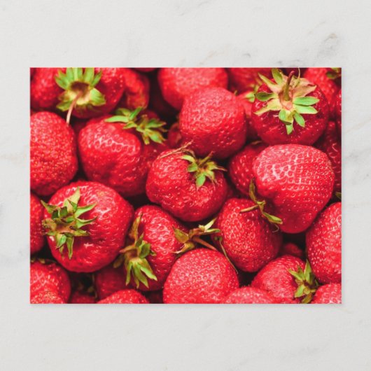 イチゴ赤おいしいイチゴ ポストカード (正面)