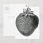 イチゴ ポストカード (正面/裏面)