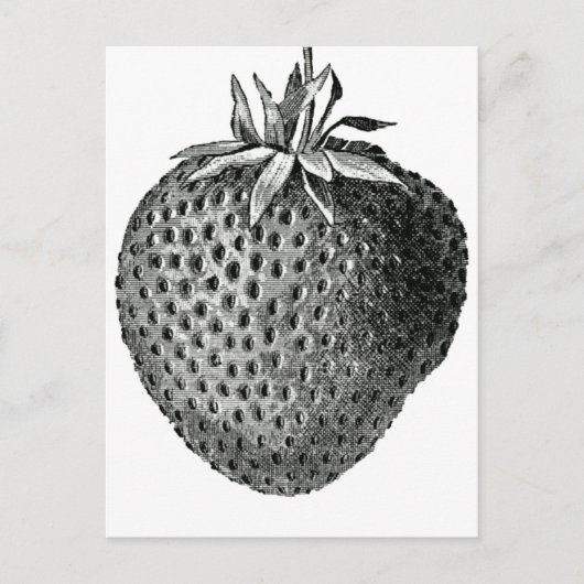 イチゴ ポストカード (正面)