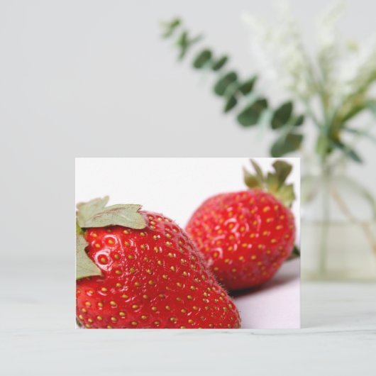 イチゴ ポストカード (スタンド正面)