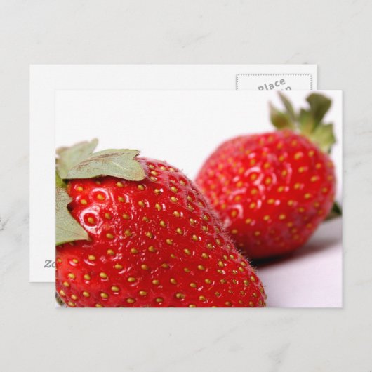 イチゴ ポストカード (正面/裏面)