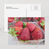 イチゴ ポストカード (正面/裏面)