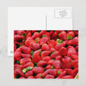 イチゴ ポストカード (正面/裏面)