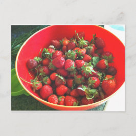 イチゴ ポストカード