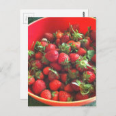 イチゴ ポストカード (正面/裏面)