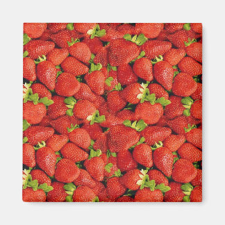 イチゴ マグネット