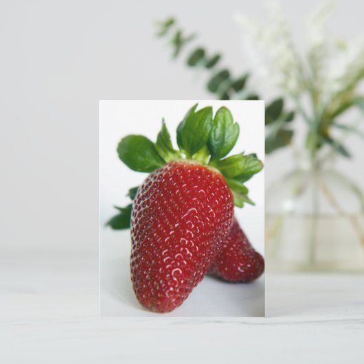 イチゴ#1 ポストカード (スタンド正面)