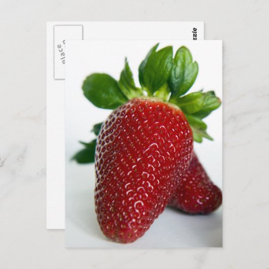 イチゴ#1 ポストカード (正面/裏面)