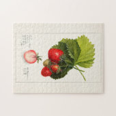 イチゴ(Fragaria)果実水の色絵画の数 ジグソーパズル (横)