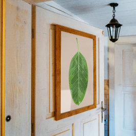 イチジクのアルティシマ「イエロージェム」の葉 ポスター