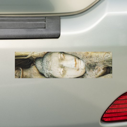 イチジクの木の仏頭…アユタヤ,タイ バンパーステッカー (車上)