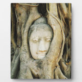 イチジクの木の仏頭…アユタヤ，タイ フォトプラーク (正面)