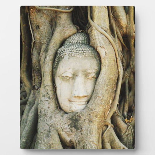 イチジクの木の仏頭…アユタヤ,タイ フォトプラーク (正面)