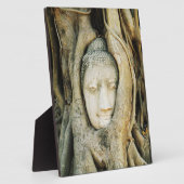 イチジクの木の仏頭…アユタヤ，タイ フォトプラーク (側面)