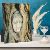 イチジクの木の仏頭…アユタヤ，タイ フォトプラーク (側面)