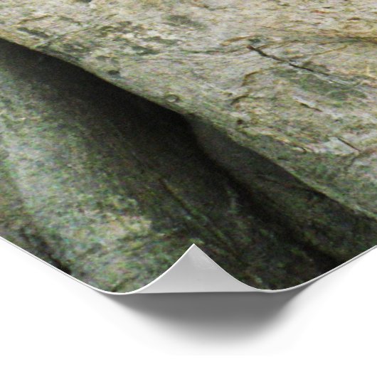 イチジクの木の仏頭…アユタヤ,タイ ポスター (角)