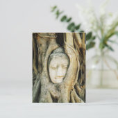 イチジクの木の仏頭…アユタヤ,タイ ポストカード (スタンド正面)