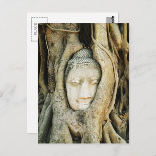 イチジクの木の仏頭…アユタヤ,タイ ポストカード (正面/裏面)