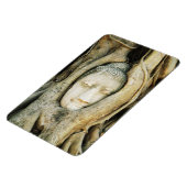 イチジクの木の仏頭…アユタヤ，タイ マグネット (左側)