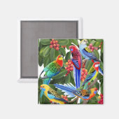 イチジクの木の磁石のRosella Parrots マグネット (正面/裏面)