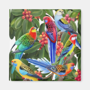 イチジクの木の磁石のRosella Parrots マグネット