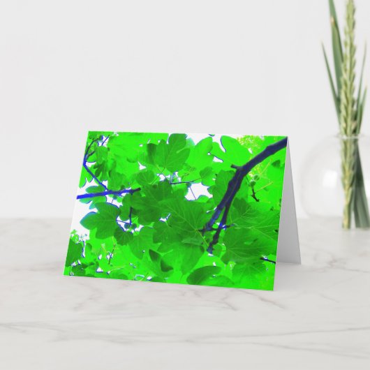 イチジクの木の葉 カード (正面)