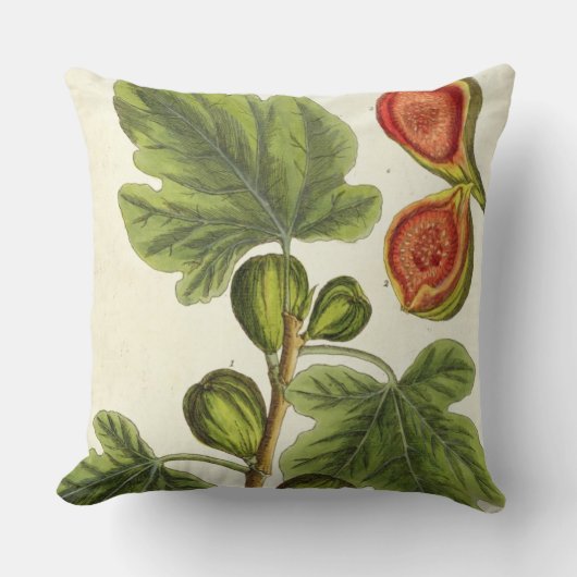 イチジクの木は、「好奇心が強い草」からの125を、pめっきします クッション (正面)