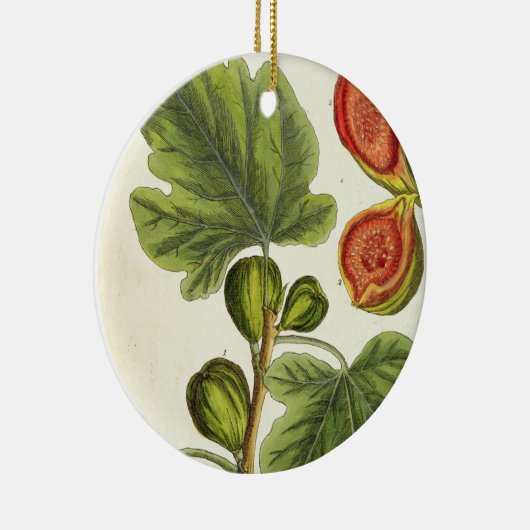 イチジクの木は、「好奇心が強い草」からの125を、pめっきします セラミックオーナメント (右)