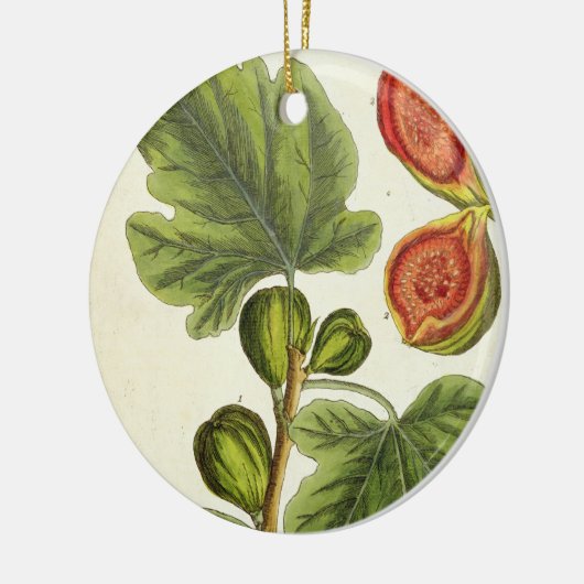 イチジクの木は、「好奇心が強い草」からの125を、pめっきします セラミックオーナメント (左)