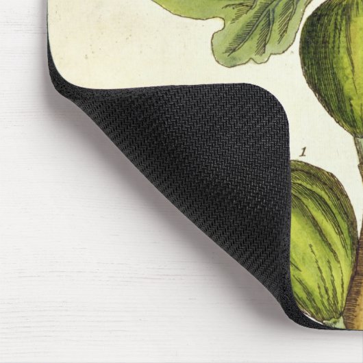 イチジクの木は、「好奇心が強い草」からの125を、pめっきします マウスパッド (コーナー)