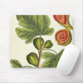 イチジクの木は、「好奇心が強い草」からの125を、pめっきします マウスパッド (マウス)