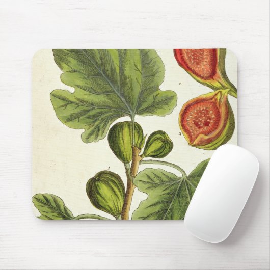 イチジクの木は、「好奇心が強い草」からの125を、pめっきします マウスパッド (マウス)