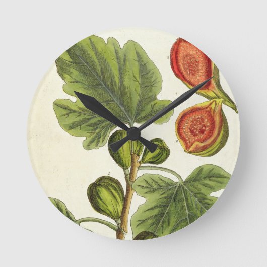 イチジクの木は、「好奇心が強い草」からの125を、pめっきします ラウンド壁時計 (正面)