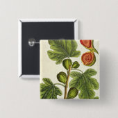 イチジクの木は、「好奇心が強い草」からの125を、pめっきします 缶バッジ (正面&裏面)