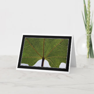 "イチジクの葉" カード