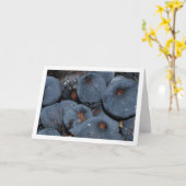 イチジク果実のクローズアップ カード (黄色い花)